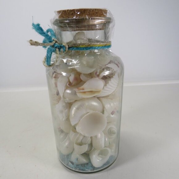 Jar of REAL white sea shells w dried red sea fan, Glass w cork lid (over 1 pound - Picture 4 of 10
